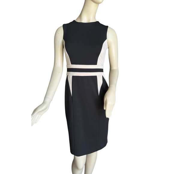 Dana Buchman Dresses & Skirts - NWT DANA BUCHMAN Dana Dress Size 2 Khaki Black Business Sleeveless MSRP $95